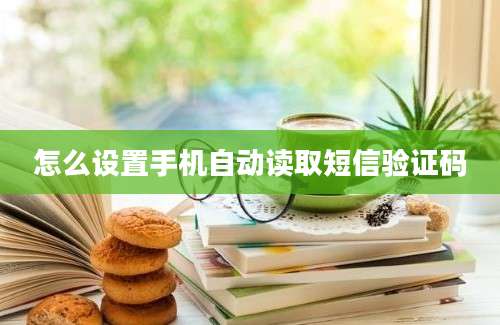 怎么设置手机自动读取短信验证码