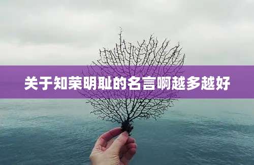 关于知荣明耻的名言啊越多越好