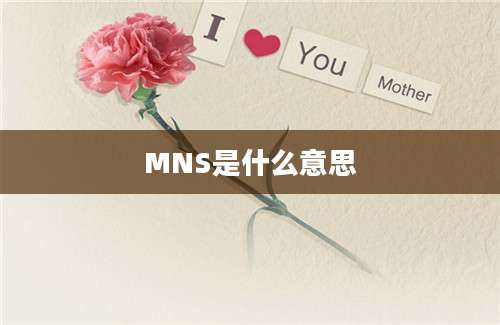 MNS是什么意思