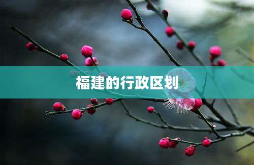 福建的行政区划