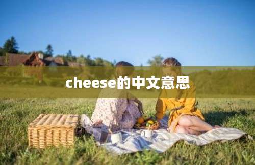 cheese的中文意思