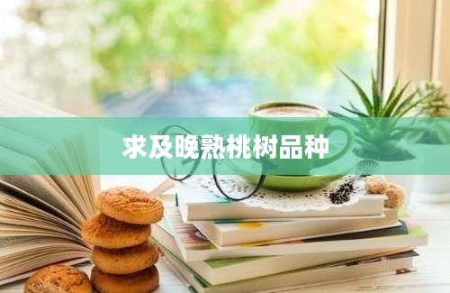 求及晚熟桃树品种