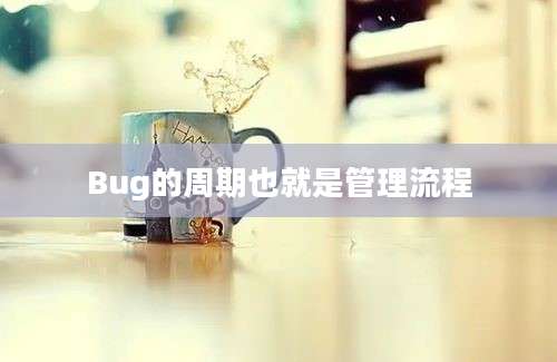 Bug的周期也就是管理流程