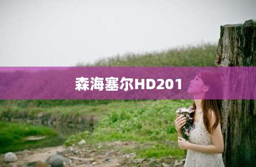 森海塞尔HD201