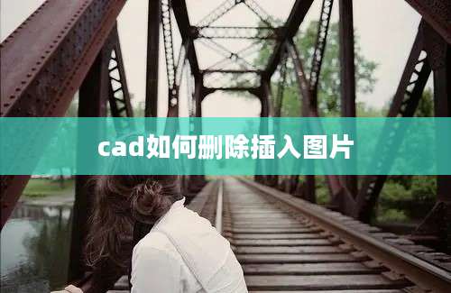 cad如何删除插入图片