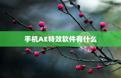 手机AE特效软件有什么