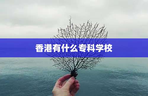 香港有什么专科学校