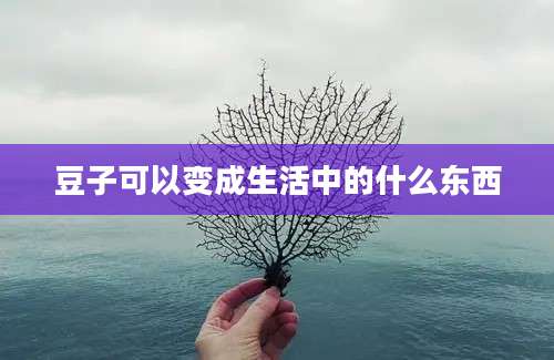 豆子可以变成生活中的什么东西