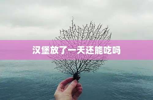 汉堡放了一天还能吃吗