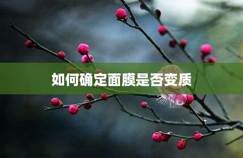 如何确定面膜是否变质