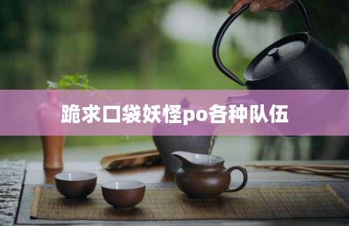 跪求口袋妖怪po各种队伍