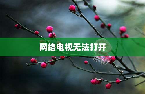 网络电视无法打开