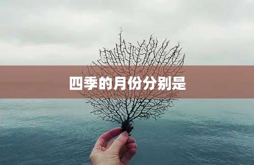 四季的月份分别是