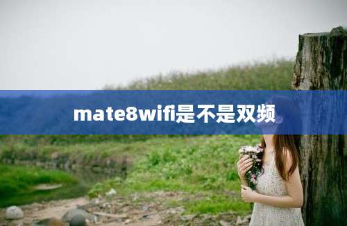 mate8wifi是不是双频