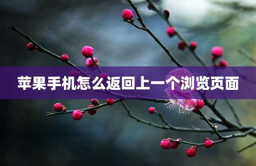 苹果手机怎么返回上一个浏览页面