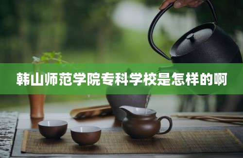 韩山师范学院专科学校是怎样的啊