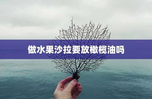 做水果沙拉要放橄榄油吗