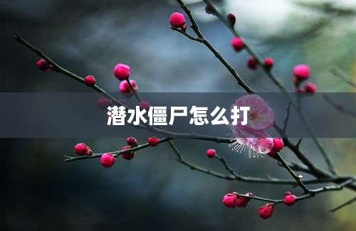 潜水僵尸怎么打