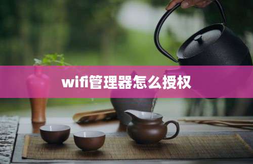 wifi管理器怎么授权