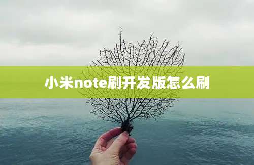 小米note刷开发版怎么刷