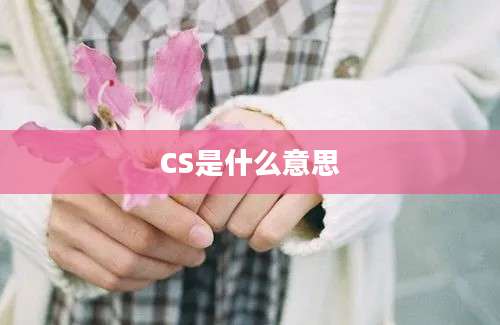 CS是什么意思