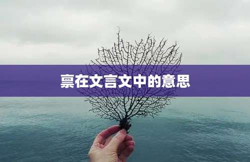 禀在文言文中的意思