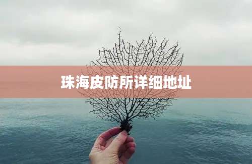 珠海皮防所详细地址