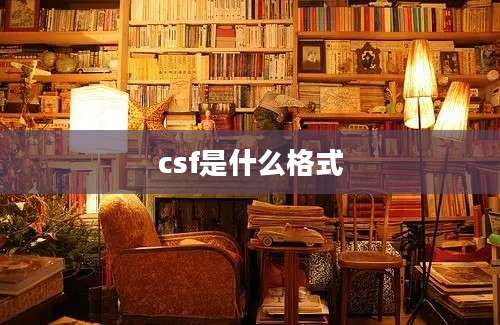 csf是什么格式