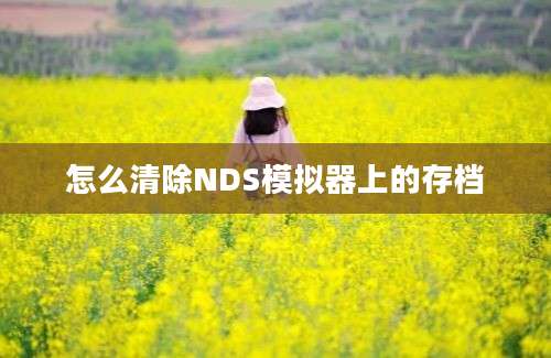 怎么清除NDS模拟器上的存档