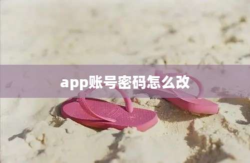 app账号密码怎么改