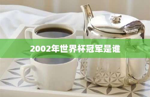 2002年世界杯冠军是谁