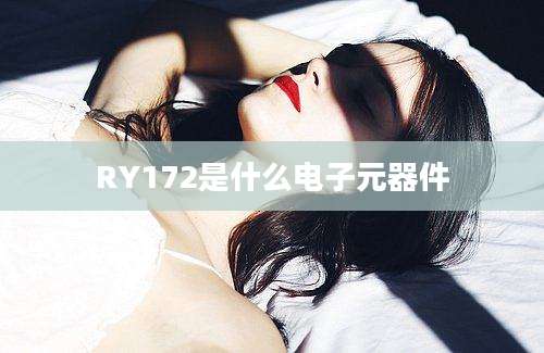 RY172是什么电子元器件