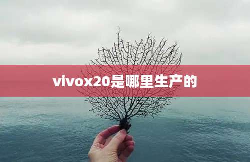 vivox20是哪里生产的