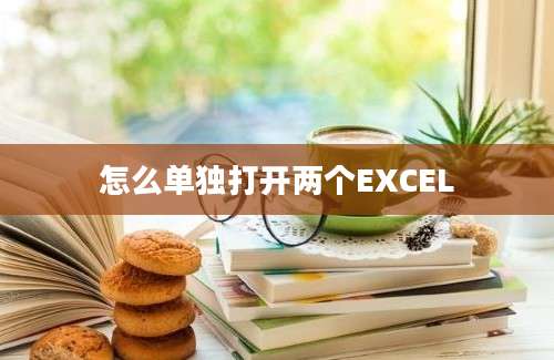 怎么单独打开两个EXCEL