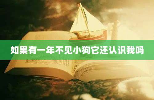 如果有一年不见小狗它还认识我吗