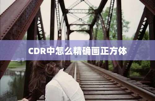 CDR中怎么精确画正方体