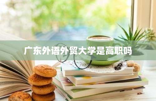 广东外语外贸大学是高职吗