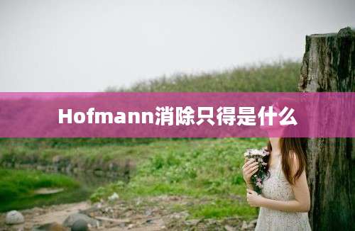 Hofmann消除只得是什么