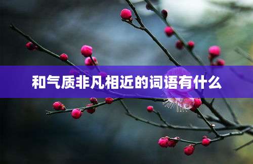 和气质非凡相近的词语有什么