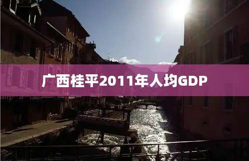 广西桂平2011年人均GDP