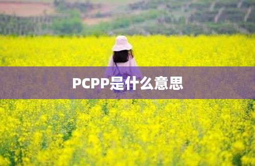 PCPP是什么意思