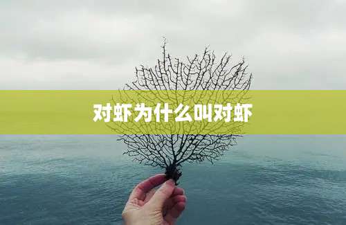 对虾为什么叫对虾