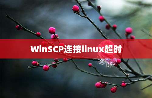 WinSCP连接linux超时