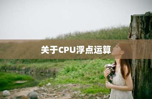 关于CPU浮点运算