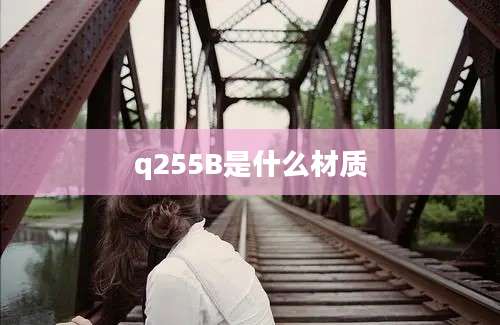 q255B是什么材质