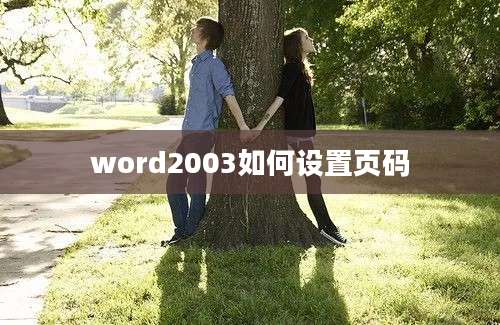 word2003如何设置页码