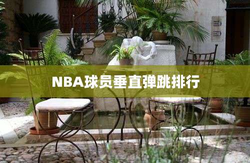 NBA球员垂直弹跳排行