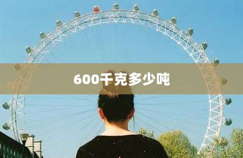 600千克多少吨