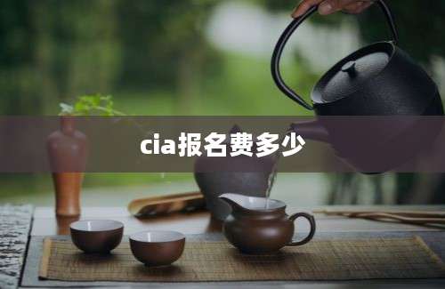 cia报名费多少