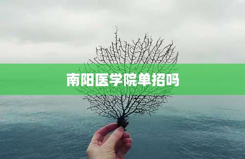 南阳医学院单招吗